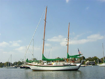 The banana winds 51' formosa