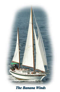 The Banana Winds 51' Formosa