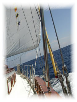 Crewed sailing charters in Marathon, Keys and Lake Erie with Banana Winds