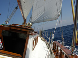 Side view of the Banana Winds