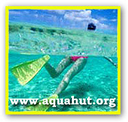 Aqua Hut